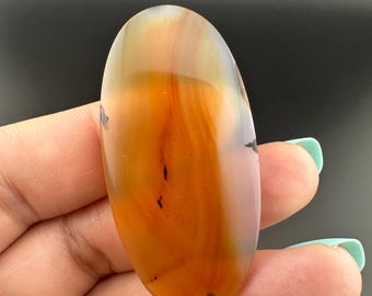 Montana Agate - Oval Cabochon - Montana