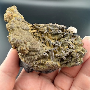 May include: A close-up of a mineral specimen with a textured, layered appearance. The specimen features a mix of colors, including shades of brown, tan, and gray. The surface has a bubbly and tubular structure, with some areas appearing rough and others smoother.