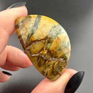 Morrisonite Jasper - Cabochon - Owyhee Canyon, Eastern Oregon