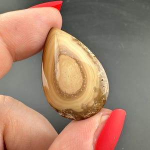 Rim - Bat Cave - Jasper - Double Sided Teardrop Cabochon - Prineville, Oregon
