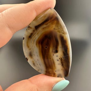 Montana Agate - Freeform Cabochon - Montana