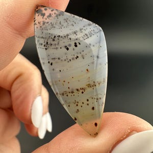 Montana Agate - Freeform Cabochon - Montana