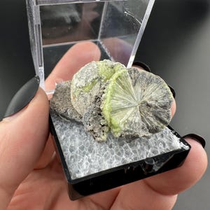 Crandallite, Wavellite - Thumbnail Crystal - Arkansas