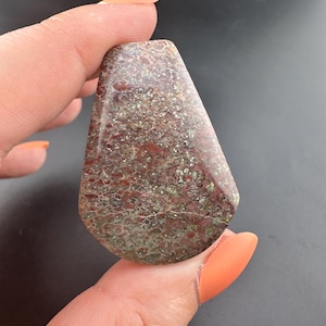 Dinosaur Gem Bone - Polished Cabochon