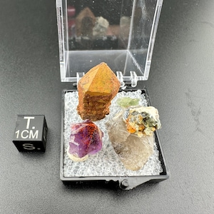 Puede incluir: Una colección de varios minerales expuestos en una caja de plástico transparente. La caja contiene una variedad de especímenes coloridos, incluyendo un cristal púrpura, un mineral marrón y naranja, y otras piedras. Un cubo negro con "1CM" está al lado de la caja.