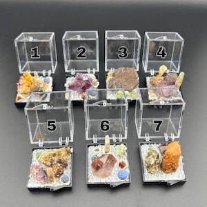 Puede incluir: Colección de siete especímenes minerales exhibidos en cajas acrílicas transparentes. Cada caja contiene una disposición única de cristales y piedras coloridas, incluyendo amatista, cuarzo y otras formaciones geológicas. Los especímenes se presentan sobre un lecho de pequeñas piedras blancas.