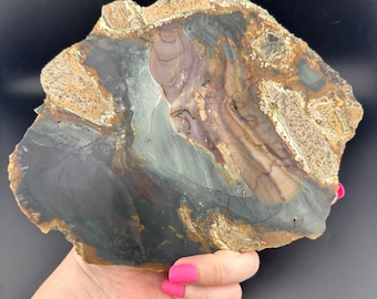 Orbicular Blue Mountain Jasper - Rough Lapidary Slab - Unpolished - McDermitt, Oregon