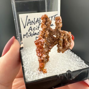Vanadinite - Cristallo in miniatura - Miniera di Acif - Mibladen, Marocco