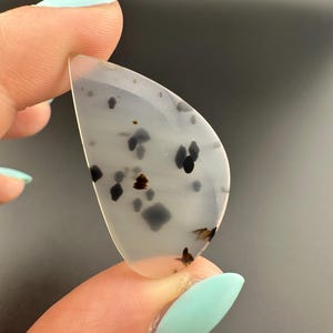 Montana Agate - Freeform Cabochon - Montana