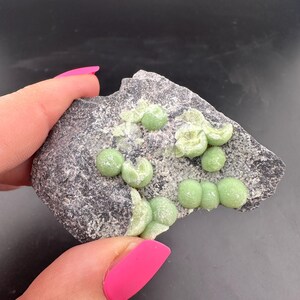 May include: A dark gray rock formation with clusters of light green, spherical mineral deposits. The mineral formations have a rounded, bubbly appearance. The rock is held by a hand with bright pink fingernails. The background is a dark gray.