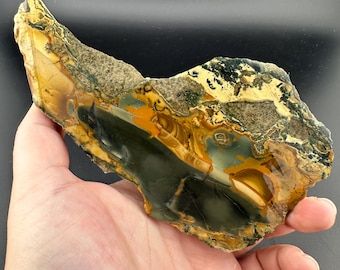 Blue Mountain Jasper -Orbicular - Rough Lapidary Slab - Unpolished - McDermitt, Oregon