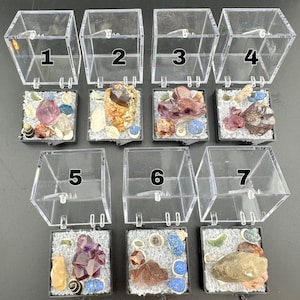 Puede incluir: Siete pequeñas vitrinas, cada una con una colección única de gemas y minerales coloridos. Las cajas son de plástico transparente, lo que permite una visibilidad total de los especímenes. Cada caja está numerada, mostrando una variedad de texturas y tonos, desde púrpuras profundos hasta marrones terrosos.