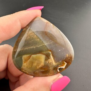 Blue Mountain Jasper - Teardrop Cabochon - Oregon