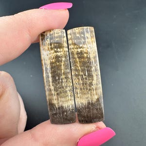 Stinking Water - Golden Oak - Petrified Wood - Cabochon Pair - Polished - Eastern, Oregon