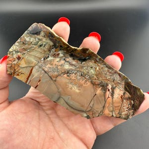 Morrisonite Jasper - Polished Slab - Oregon