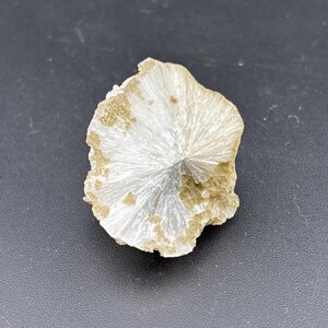 以下が含まれることがあります： 放射状の結晶構造を持つ、白く扇形の鉱物標本。鉱物は薄いタン色の外縁を持ち、暗い表面に置かれています。結晶構造はサンバーストまたは花に似ています。