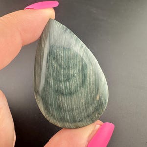 Gary Green Jasper - Larsonite - Freedom Jasper - Bog Wood - Teardrop Cabochon - McDermitt, Oregon
