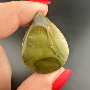 Blue Mountain Jasper - Teardrop Cabochon - Oregon