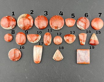 Red Horn Coral - Utah - Cabochon - Sold Individually