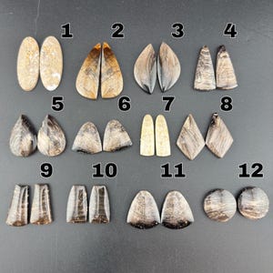 Petrified Wood - Cabochon Pair - Polished - Sold by Individual Pair