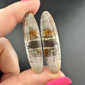 Stinking Water - Golden Oak - Petrified Wood - Cabochon Pair - Polished - Eastern, Oregon