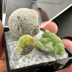Crandallite, Wavellite - Thumbnail Crystal - Arkansas