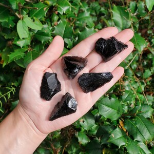 Root Chakra Raw Crystal Set Raw Crystals Crystal Description Card Hematite Garnet Obsidian Red Jasper Small (.75-1.5")