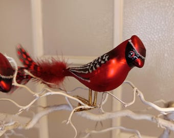 Ornamento in vetro cardinale, uccello, set da 2, Krebs Glas Lauscha, lunghezza 9 cm misurata senza coda