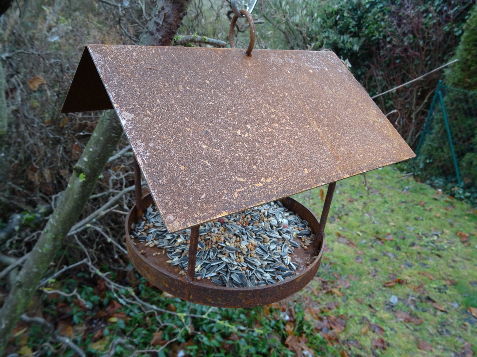 Metal bird feeder, hanging