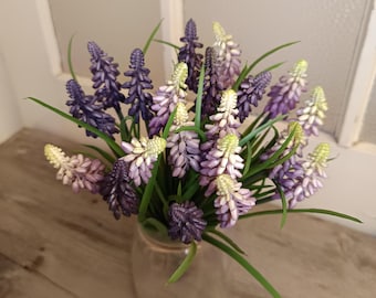 Traubenhyazinthen, Perhyazinthen, Muscari, 20 St. je Bund, Lila und Flieder