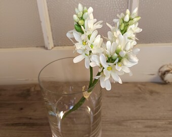 Hyazinthe Weiß, Seidenblumen, 3 Stiele/Bund 30 cm