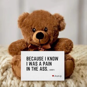 Sorry Teddy Bear - Etsy