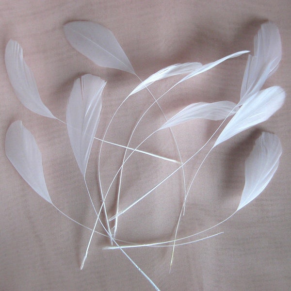 10 white Coquetips feathers for fascination headpiece