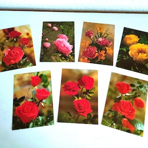 Cartoline vintage di 7 fiori Foto di fiori come cartoline degli anni '60