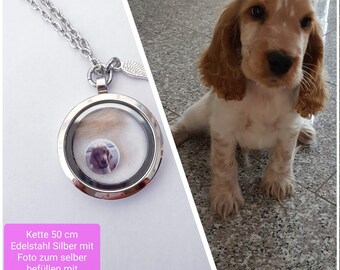 Personalisiert Kette / Amulette mit Foto von beiden Seiten sichtbar für Hundehaare, Milchzahn, Edelstahl, selber Befüllen