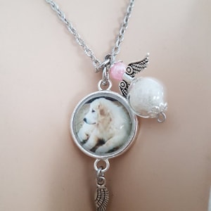 Necklace Dog Hair Angel Jewelry Deceased Pet Horse Rabbit Cat Hamster Horse Hair Cat Hair Animal Pet/ Photo Keepsake