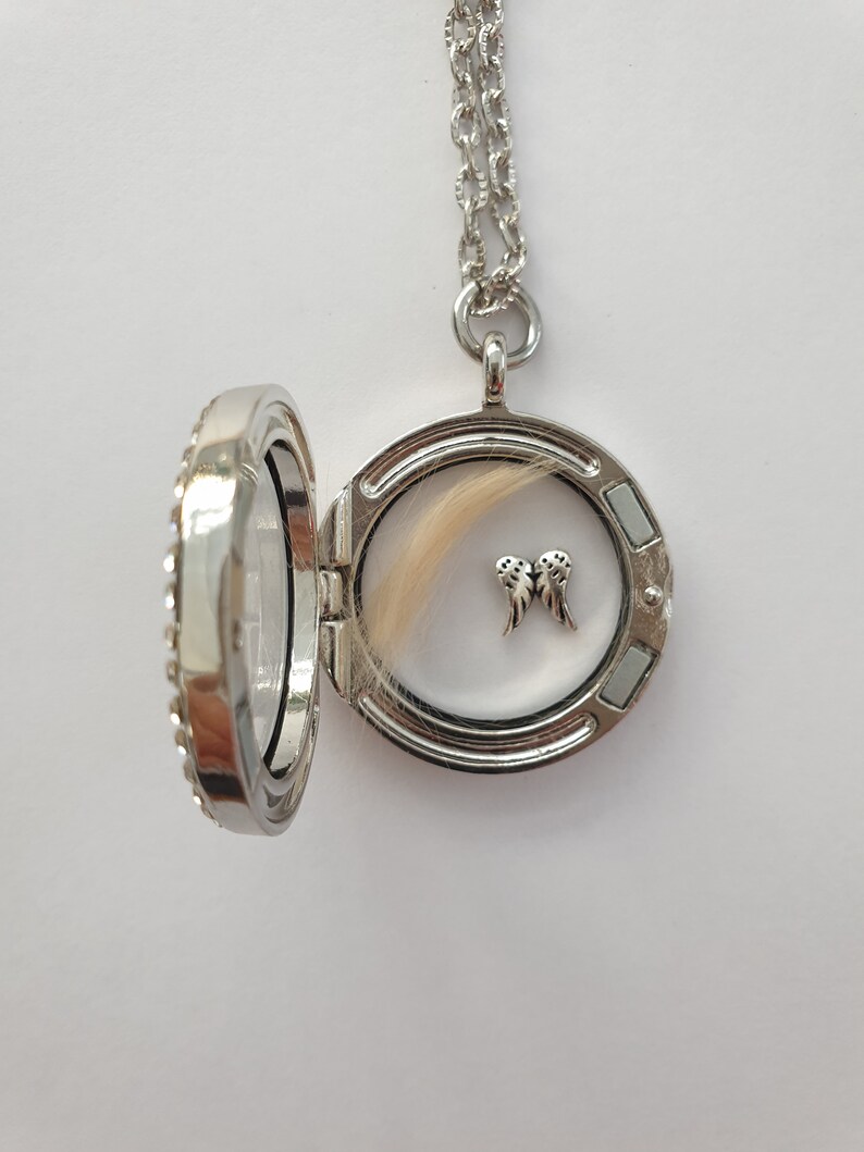 Hundeandenken Haare von Hunde Andenken Strass Amulett Kette Etsy