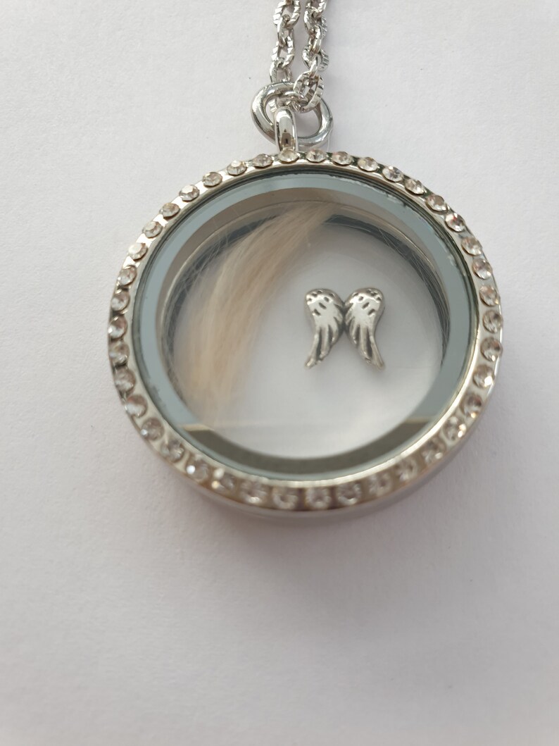 Hundeandenken Haare von Hunde Andenken Strass Amulett Kette Etsy