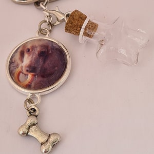Selber zu befüllende Schlüsselanhänger Tierhaar mit Foto Schmuck verstorbenes Haustier Anhänger Andenken Hund Katze Pferd Haustier Bild 3