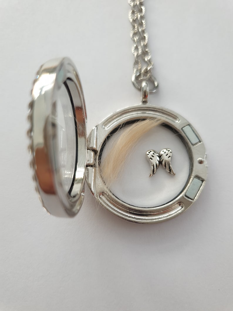 Hundeandenken Haare von Hunde Andenken Strass Amulett Kette Etsy