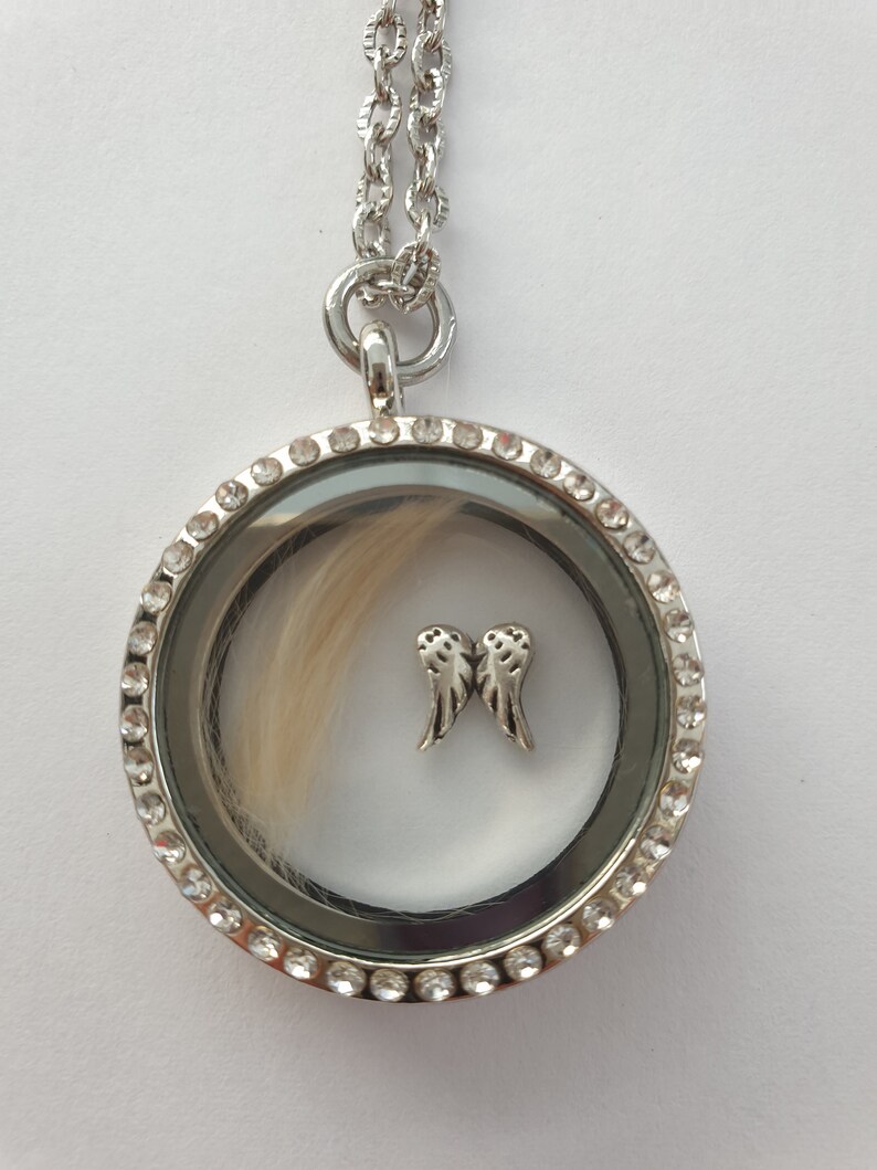Hundeandenken Haare von Hunde Andenken Strass Amulett Kette Etsy