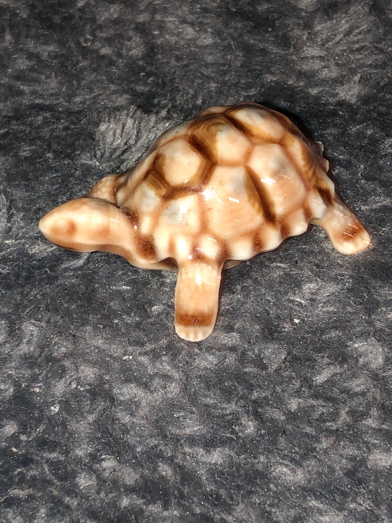 wade turtle