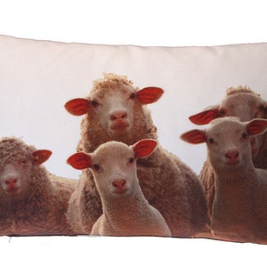 Schaf Kissen, Kissenbezug 40x60 cm aus Baumwolle, creme-weiß, Tierkissen, Kissenhülle, Sofakissen, Dekokissen Bild 1