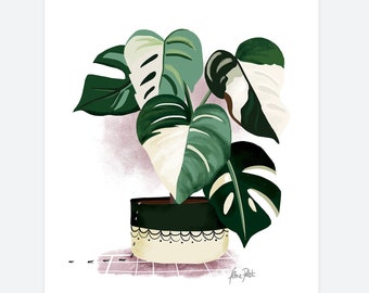Green Plant 'Monstera' poster. Illustration, poster.