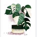 see more listings in the Carteles section