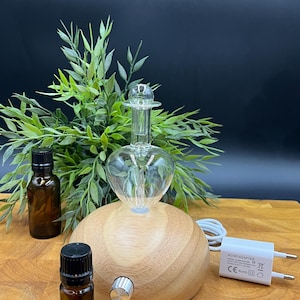 Könnte beinhalten: Ein klarer Glas-Diffusor für ätherische Öle mit herzförmigem Reservoir und Holzsockel. Zwei kleine braune Glasflaschen und ein Netzteil sind ebenfalls sichtbar. Grünes Laub befindet sich im Hintergrund, und der Diffusor steht auf einer Holzoberfläche.