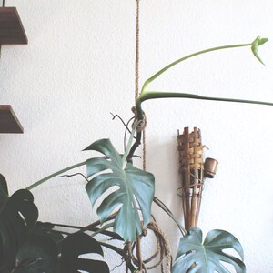 Monstera stand - Etsy.de
