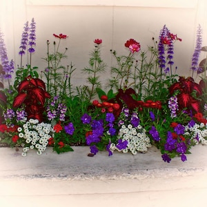 Floral Window Box, Vignette, Vintage Look