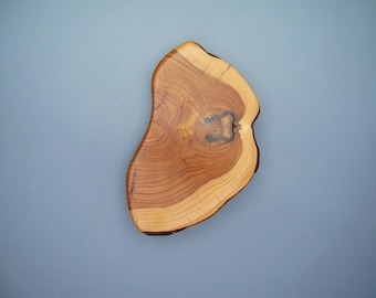 Houten jasbroche