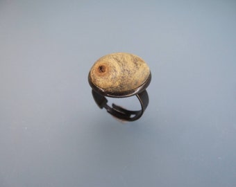 Wooden jewelry ring with ring band